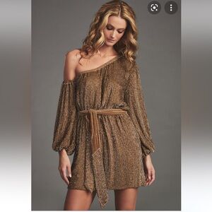 NWT Retrofete Giselle dress in taupe sz lg